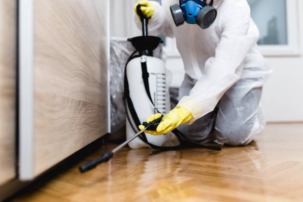 Best Affordable Pest Control Services  in Navajo, NM