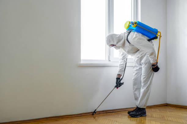 Best Residential Pest Control  in Navajo, NM